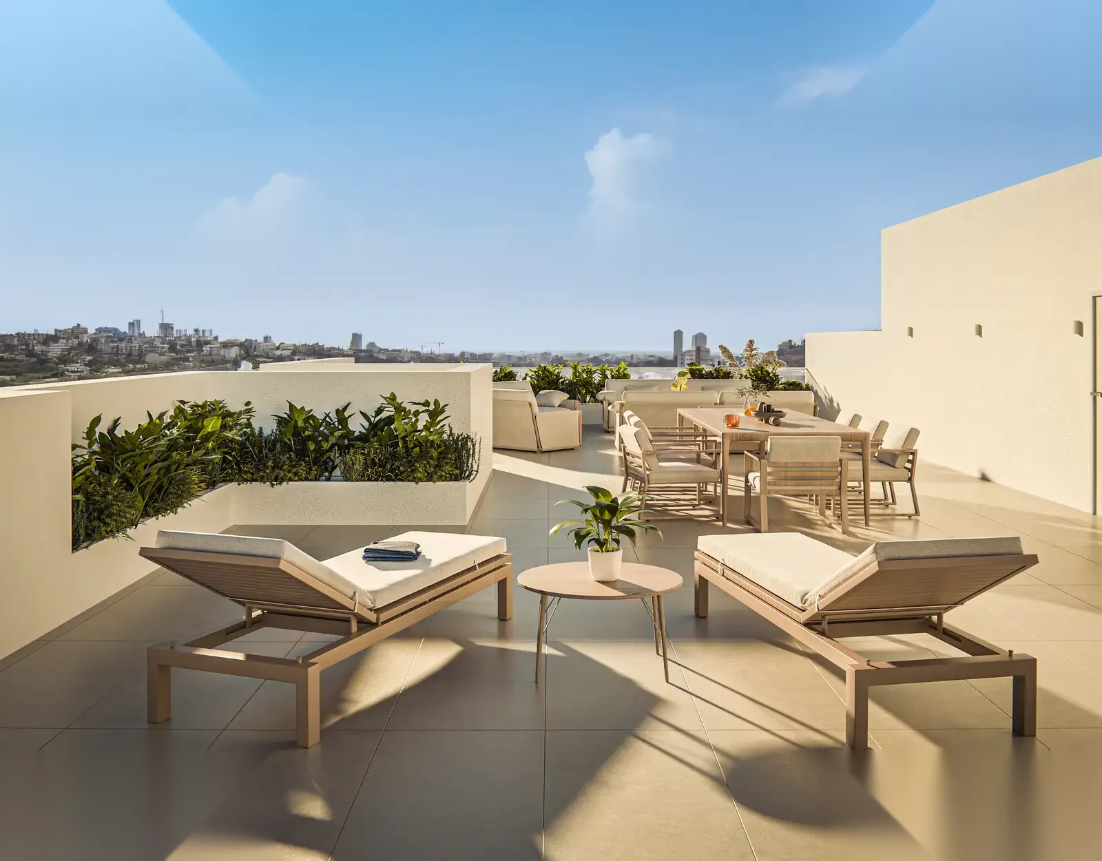 CITRUS GROVE — interior view 4
