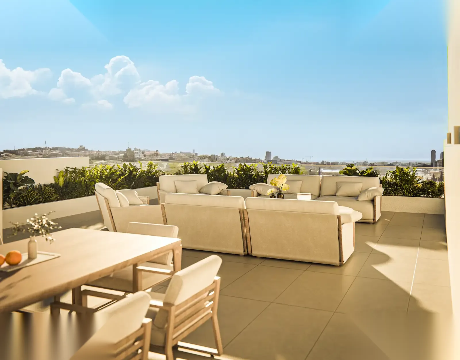CITRUS GROVE — interior view 5