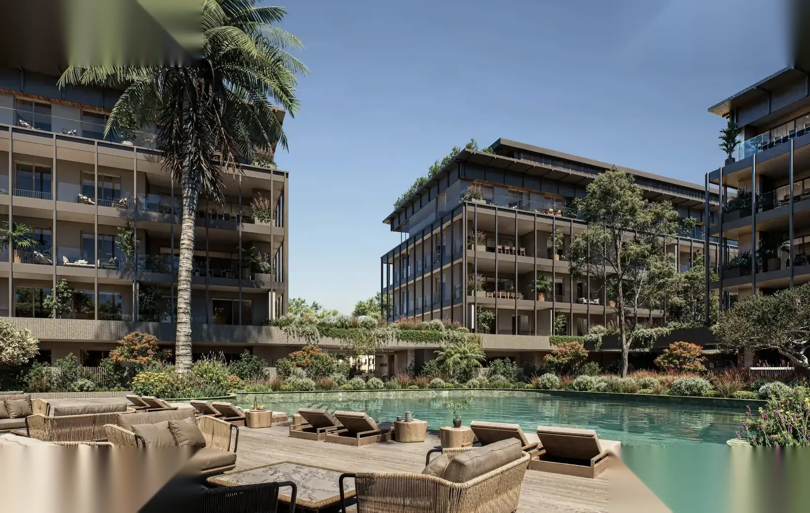 AMANI — interior view 5